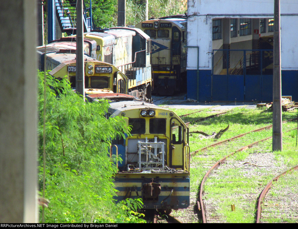 MRSL 3162
